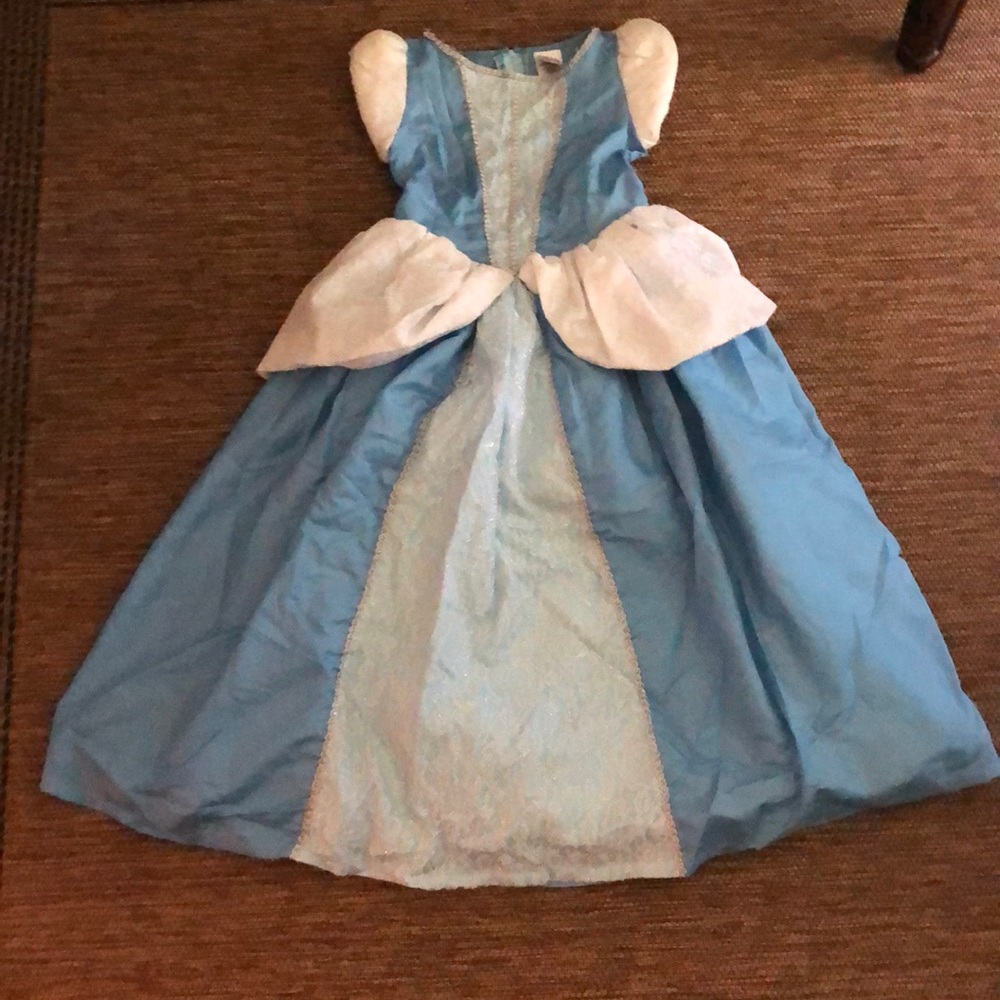 Cinderella Costume/Dress Up dress
